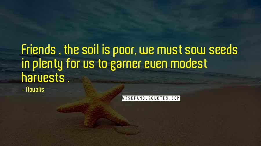 Novalis Quotes: Friends , the soil is poor, we must sow seeds in plenty for us to garner even modest harvests .