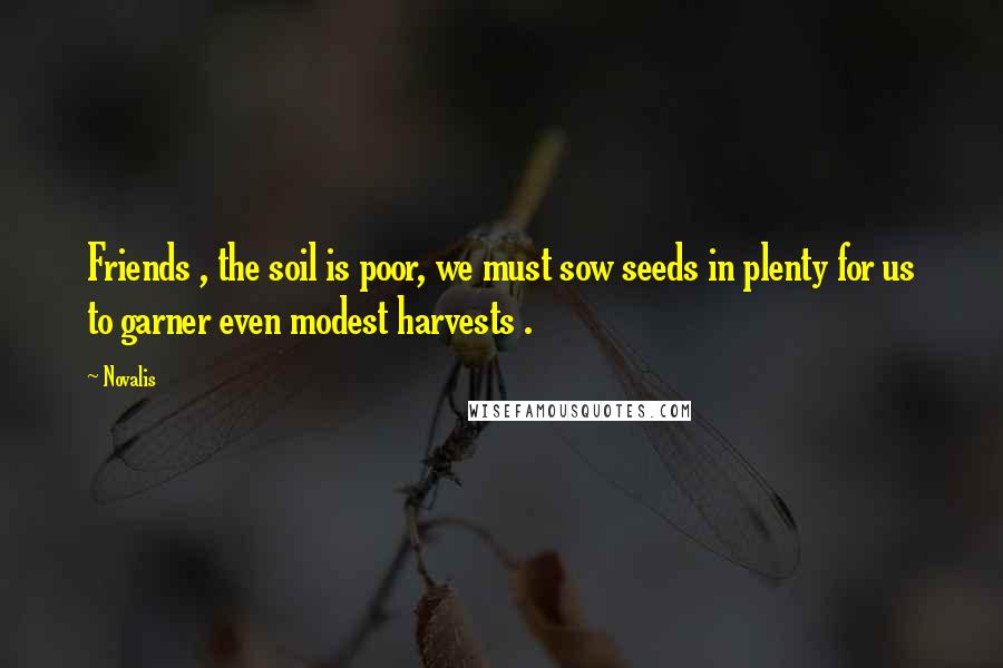 Novalis Quotes: Friends , the soil is poor, we must sow seeds in plenty for us to garner even modest harvests .