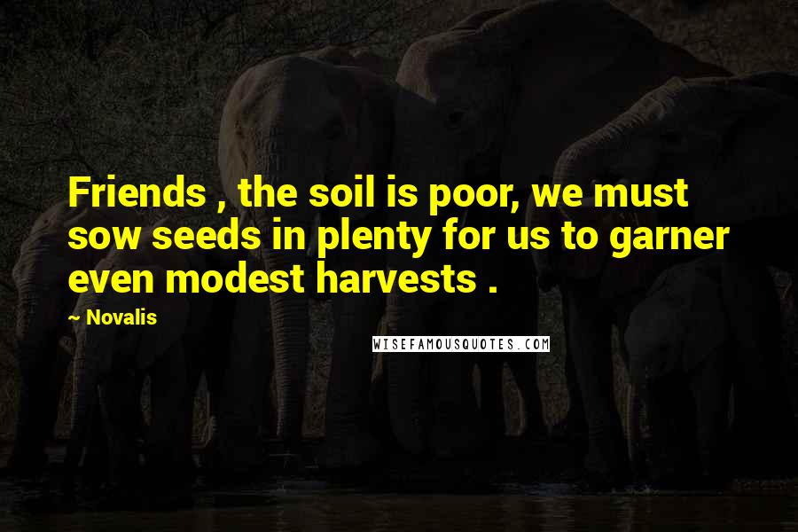 Novalis Quotes: Friends , the soil is poor, we must sow seeds in plenty for us to garner even modest harvests .