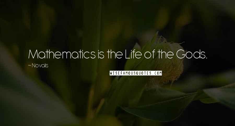 Novalis Quotes: Mathematics is the Life of the Gods.