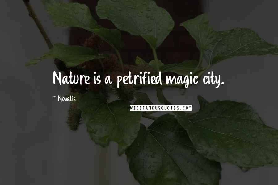 Novalis Quotes: Nature is a petrified magic city.