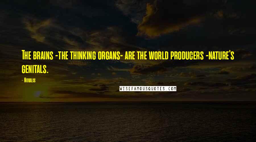 Novalis Quotes: The brains -the thinking organs- are the world producers -nature's genitals.