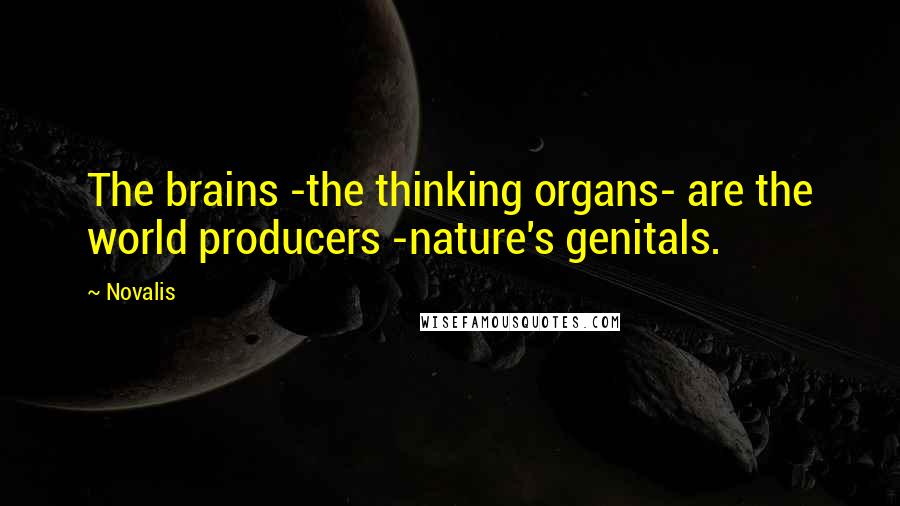 Novalis Quotes: The brains -the thinking organs- are the world producers -nature's genitals.