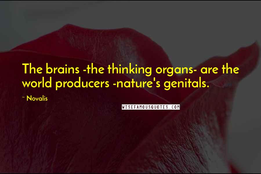 Novalis Quotes: The brains -the thinking organs- are the world producers -nature's genitals.