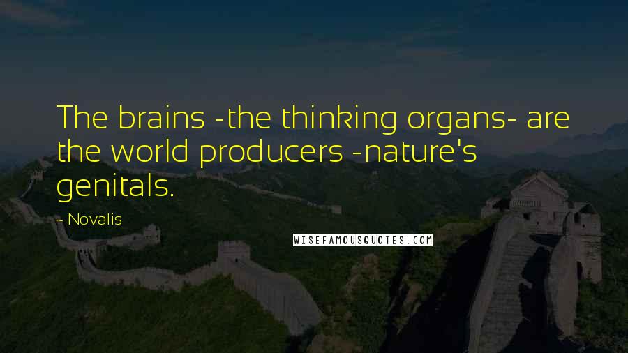 Novalis Quotes: The brains -the thinking organs- are the world producers -nature's genitals.