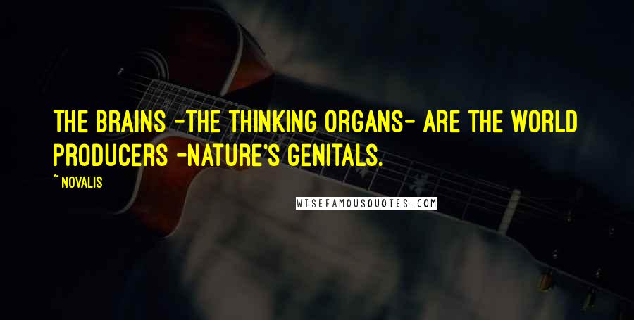 Novalis Quotes: The brains -the thinking organs- are the world producers -nature's genitals.