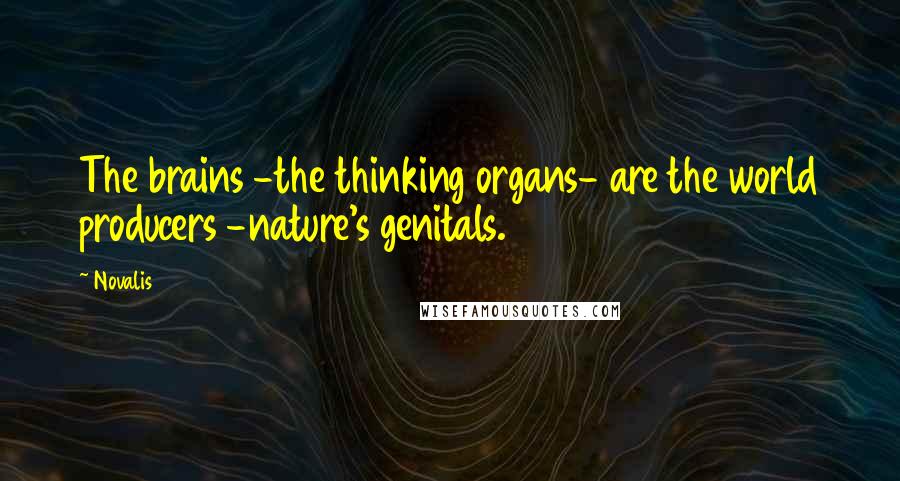 Novalis Quotes: The brains -the thinking organs- are the world producers -nature's genitals.