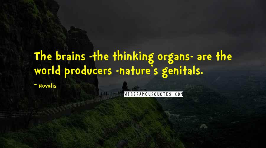 Novalis Quotes: The brains -the thinking organs- are the world producers -nature's genitals.