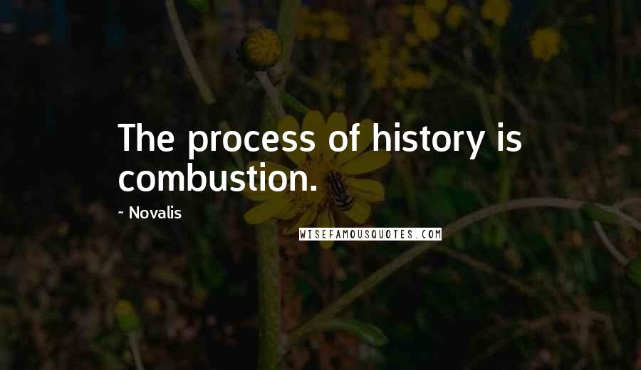 Novalis Quotes: The process of history is combustion.