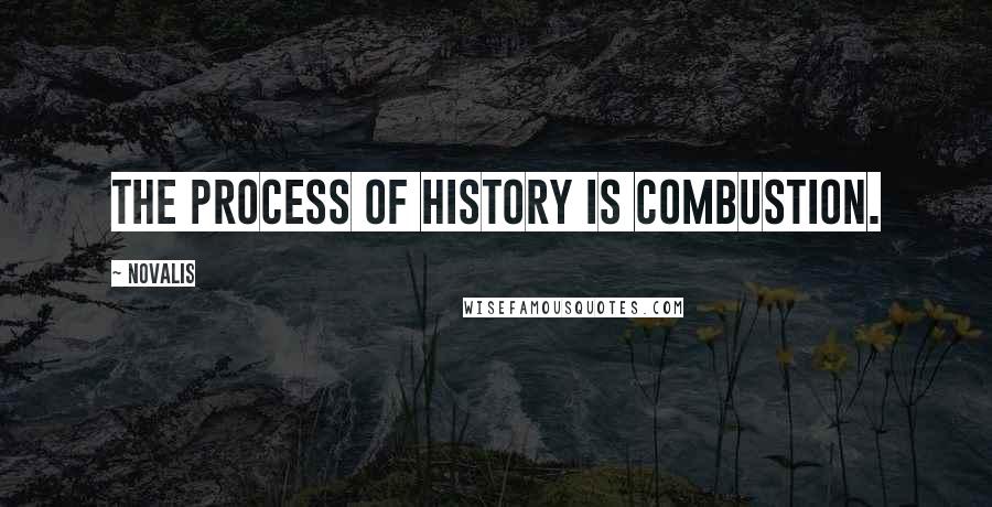 Novalis Quotes: The process of history is combustion.