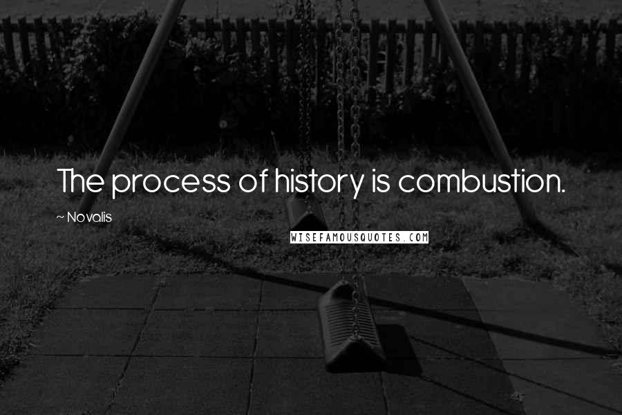 Novalis Quotes: The process of history is combustion.