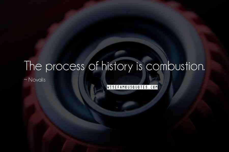 Novalis Quotes: The process of history is combustion.