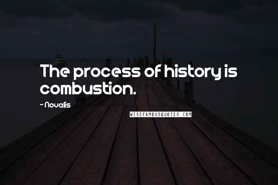 Novalis Quotes: The process of history is combustion.