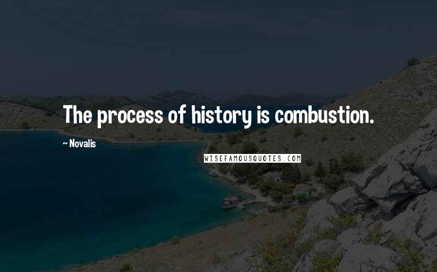 Novalis Quotes: The process of history is combustion.