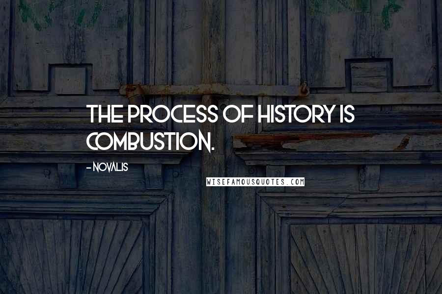 Novalis Quotes: The process of history is combustion.