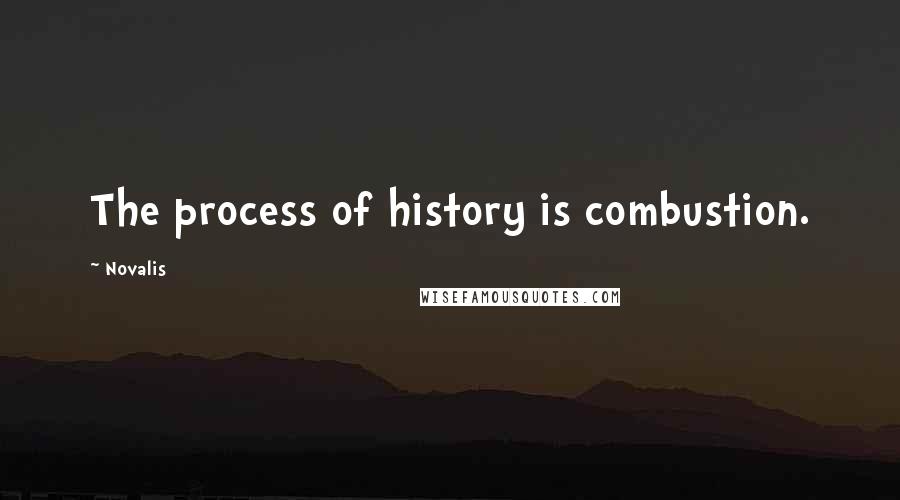 Novalis Quotes: The process of history is combustion.