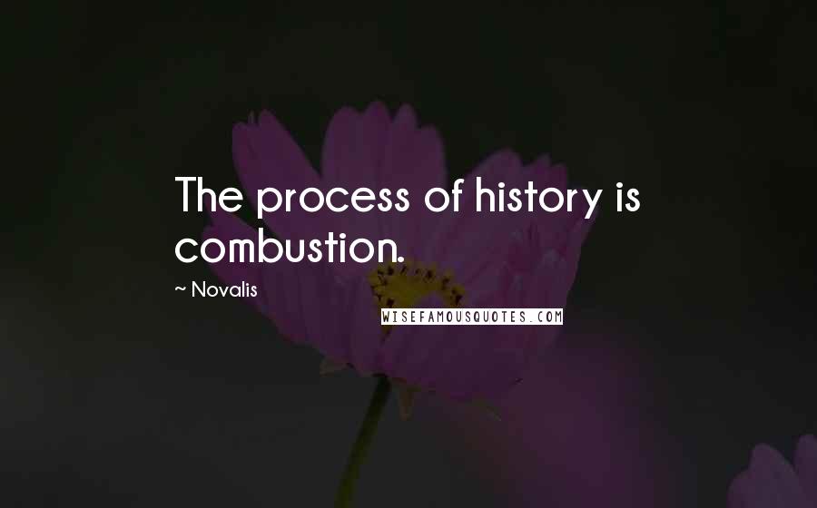 Novalis Quotes: The process of history is combustion.