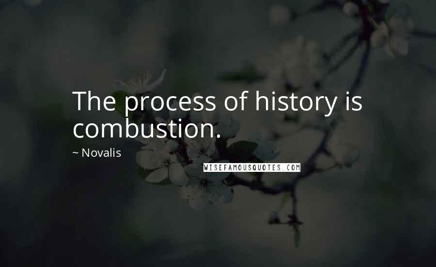 Novalis Quotes: The process of history is combustion.