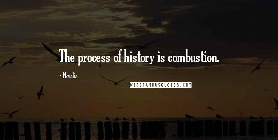 Novalis Quotes: The process of history is combustion.