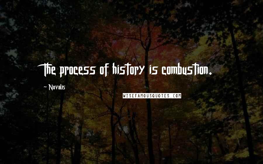 Novalis Quotes: The process of history is combustion.