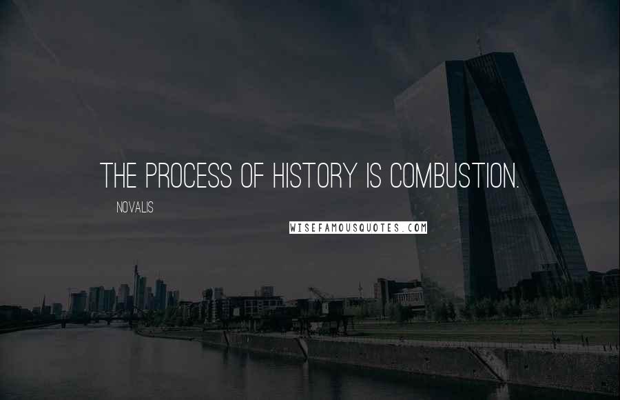 Novalis Quotes: The process of history is combustion.