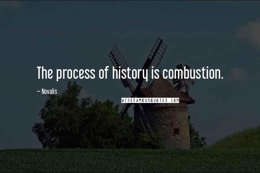 Novalis Quotes: The process of history is combustion.