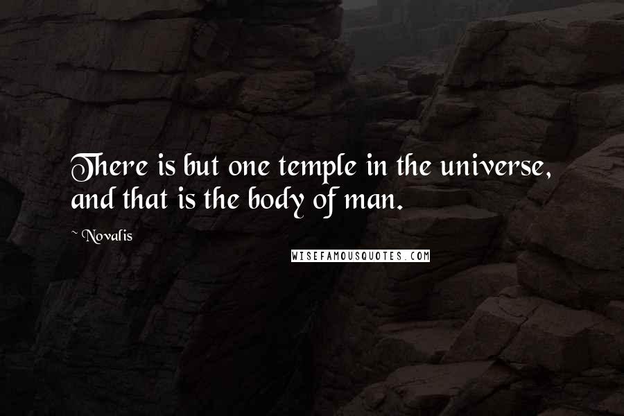 Novalis Quotes: There is but one temple in the universe, and that is the body of man.