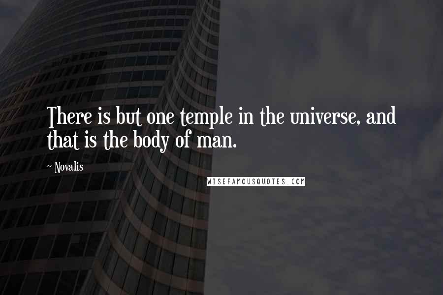 Novalis Quotes: There is but one temple in the universe, and that is the body of man.