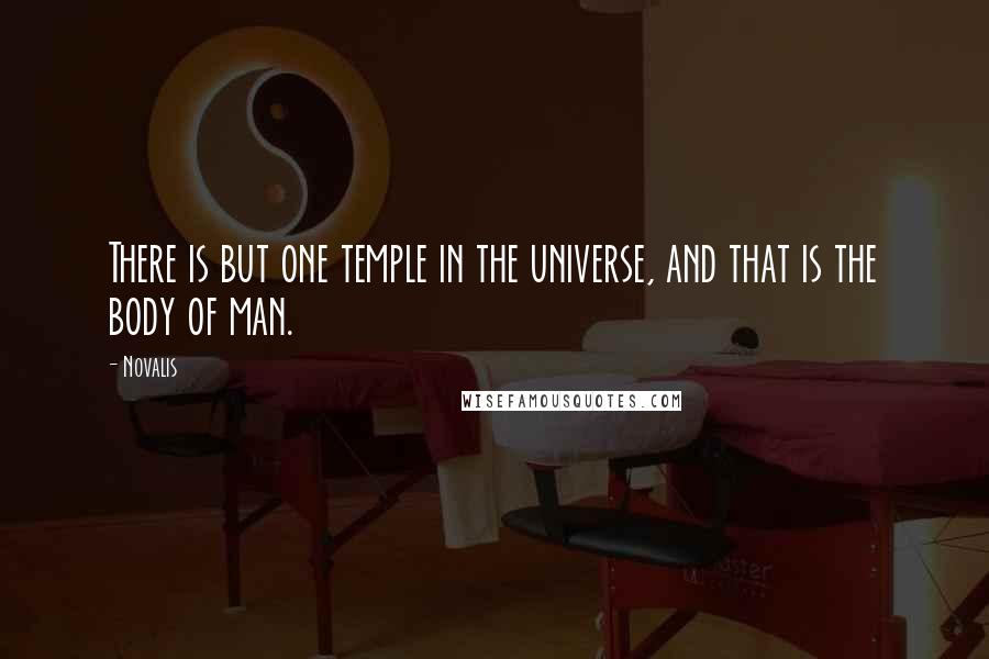 Novalis Quotes: There is but one temple in the universe, and that is the body of man.