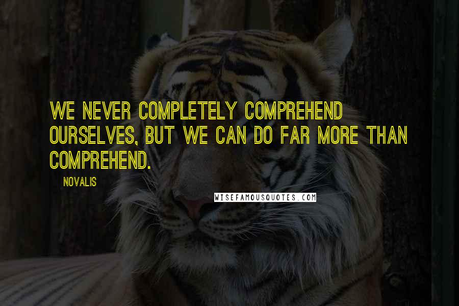 Novalis Quotes: We never completely comprehend ourselves, but we can do far more than comprehend.