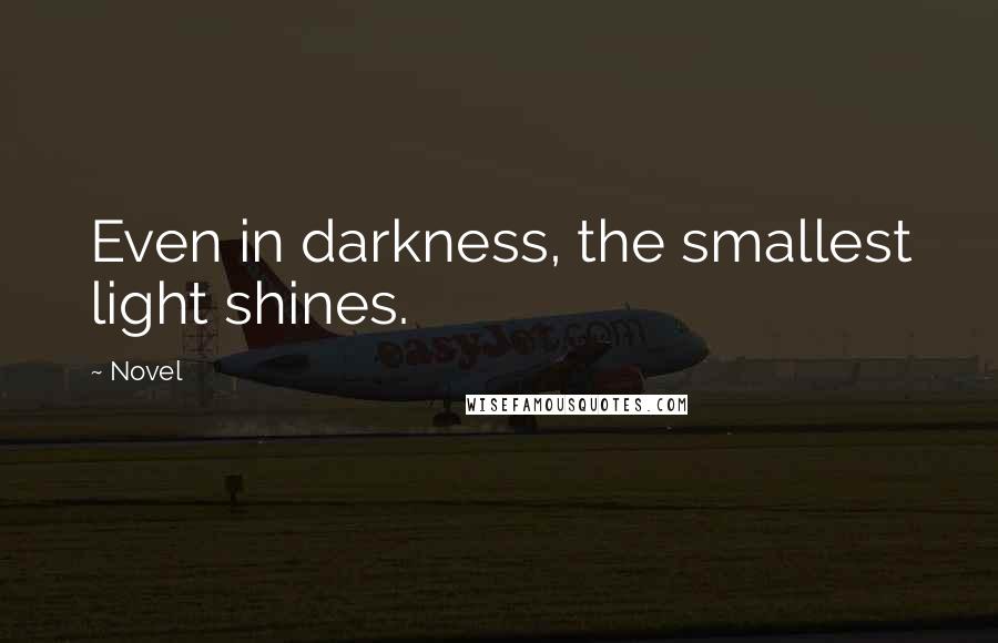 Novel Quotes: Even in darkness, the smallest light shines.