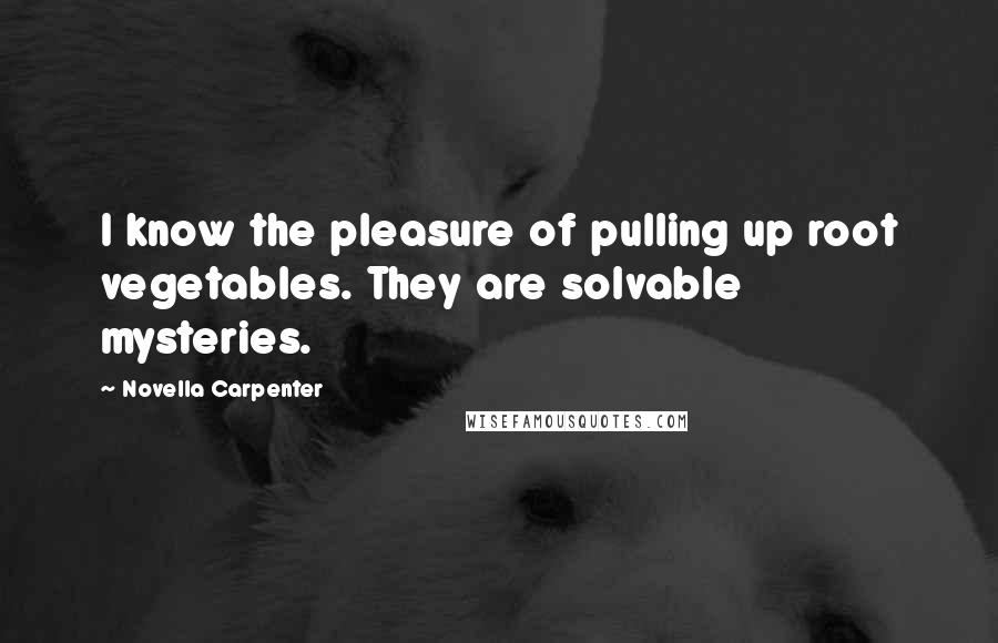 Novella Carpenter Quotes: I know the pleasure of pulling up root vegetables. They are solvable mysteries.