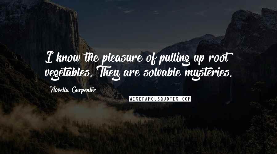 Novella Carpenter Quotes: I know the pleasure of pulling up root vegetables. They are solvable mysteries.