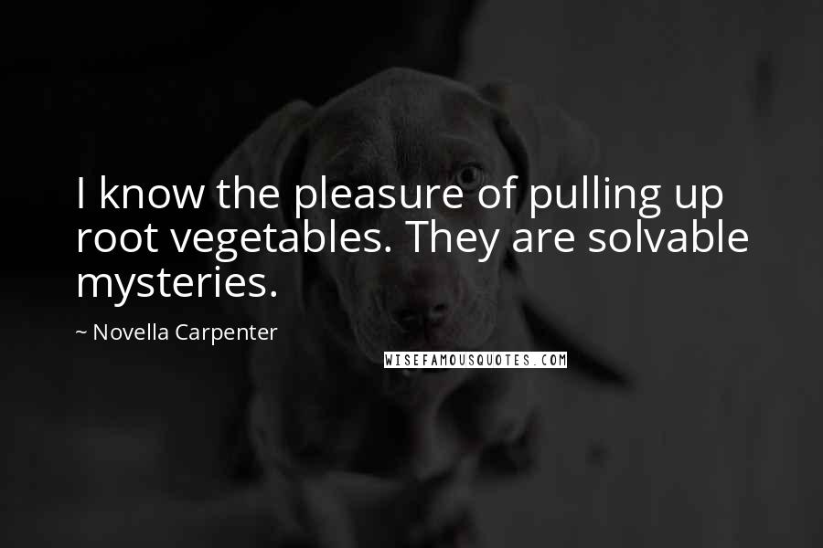 Novella Carpenter Quotes: I know the pleasure of pulling up root vegetables. They are solvable mysteries.