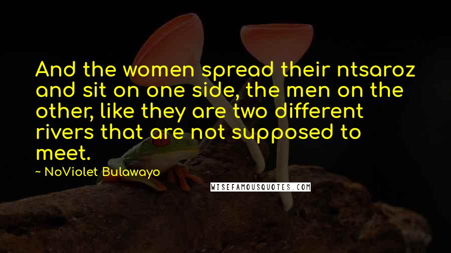 NoViolet Bulawayo Quotes: And the women spread their ntsaroz and sit on one side, the men on the other, like they are two different rivers that are not supposed to meet.