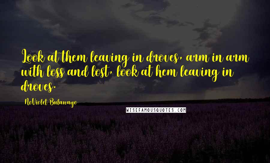 NoViolet Bulawayo Quotes: Look at them leaving in droves, arm in arm with loss and lost, look at hem leaving in droves.