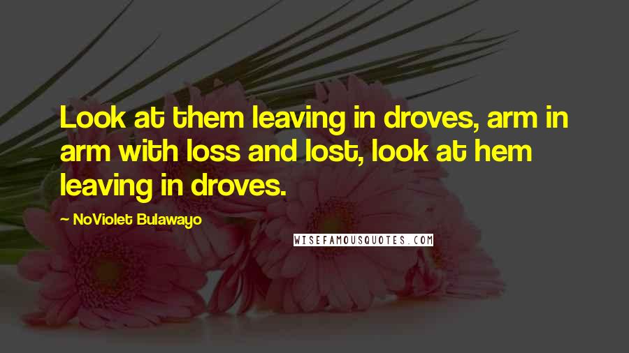 NoViolet Bulawayo Quotes: Look at them leaving in droves, arm in arm with loss and lost, look at hem leaving in droves.