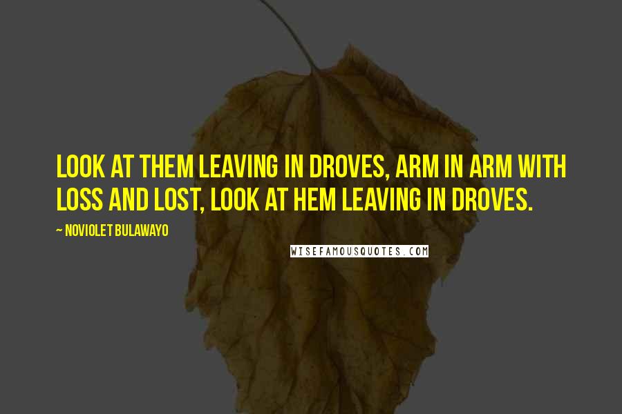 NoViolet Bulawayo Quotes: Look at them leaving in droves, arm in arm with loss and lost, look at hem leaving in droves.