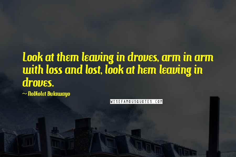 NoViolet Bulawayo Quotes: Look at them leaving in droves, arm in arm with loss and lost, look at hem leaving in droves.