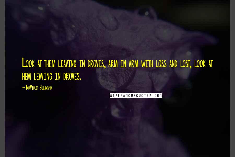NoViolet Bulawayo Quotes: Look at them leaving in droves, arm in arm with loss and lost, look at hem leaving in droves.