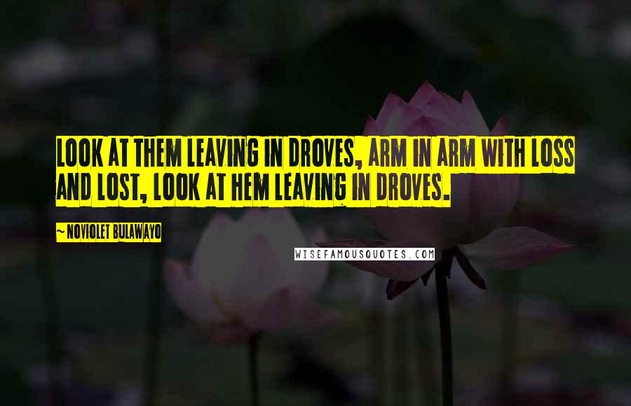 NoViolet Bulawayo Quotes: Look at them leaving in droves, arm in arm with loss and lost, look at hem leaving in droves.