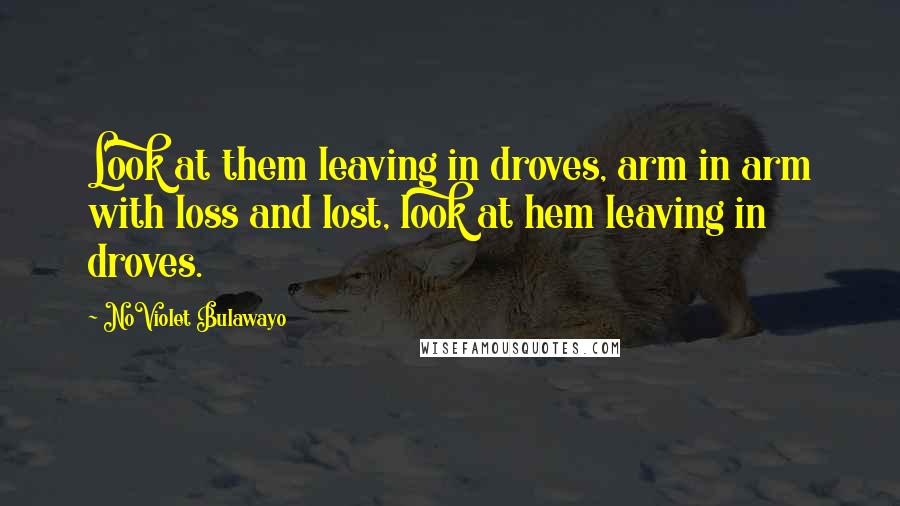 NoViolet Bulawayo Quotes: Look at them leaving in droves, arm in arm with loss and lost, look at hem leaving in droves.