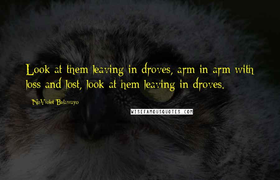 NoViolet Bulawayo Quotes: Look at them leaving in droves, arm in arm with loss and lost, look at hem leaving in droves.