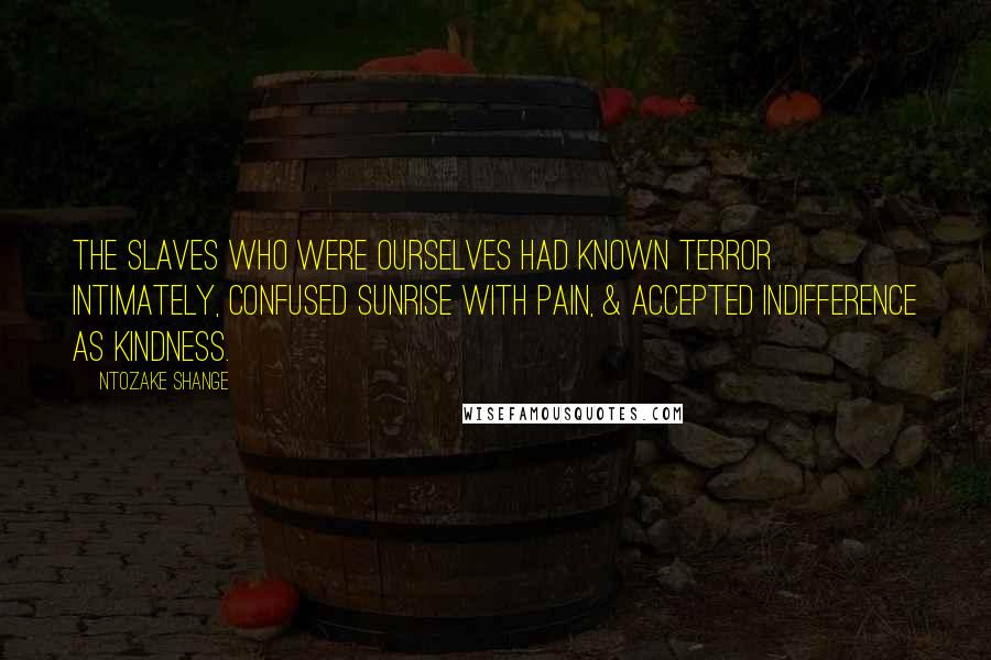 Ntozake Shange Quotes: The slaves who were ourselves had known terror intimately, confused sunrise with pain, & accepted indifference as kindness.