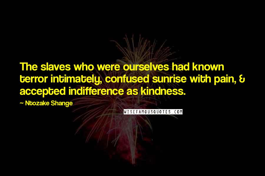 Ntozake Shange Quotes: The slaves who were ourselves had known terror intimately, confused sunrise with pain, & accepted indifference as kindness.