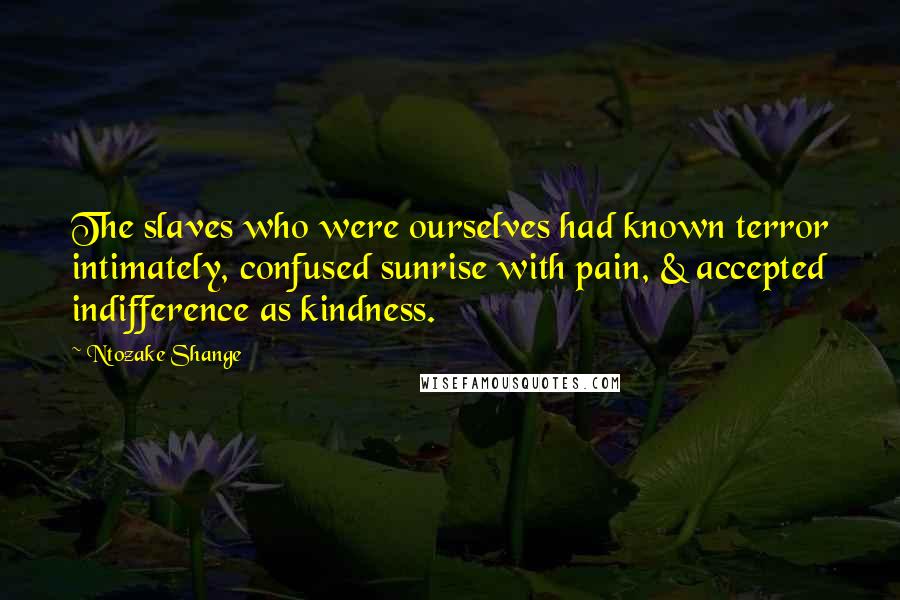 Ntozake Shange Quotes: The slaves who were ourselves had known terror intimately, confused sunrise with pain, & accepted indifference as kindness.