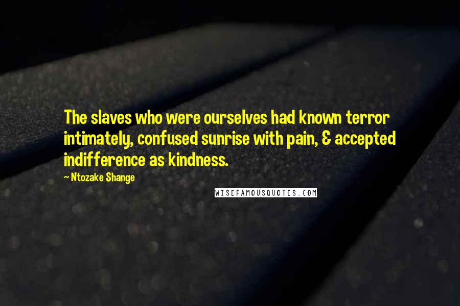 Ntozake Shange Quotes: The slaves who were ourselves had known terror intimately, confused sunrise with pain, & accepted indifference as kindness.