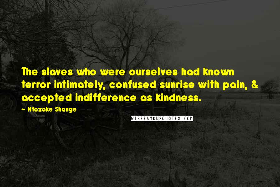 Ntozake Shange Quotes: The slaves who were ourselves had known terror intimately, confused sunrise with pain, & accepted indifference as kindness.