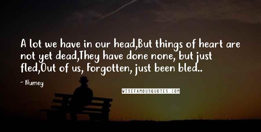 Numey Quotes: A lot we have in our head,But things of heart are not yet dead,They have done none, but just fled,Out of us, Forgotten, just been bled..