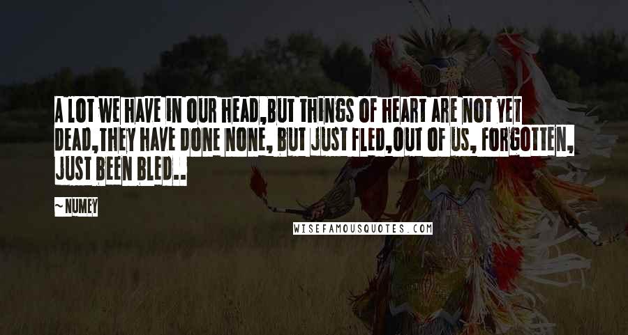 Numey Quotes: A lot we have in our head,But things of heart are not yet dead,They have done none, but just fled,Out of us, Forgotten, just been bled..